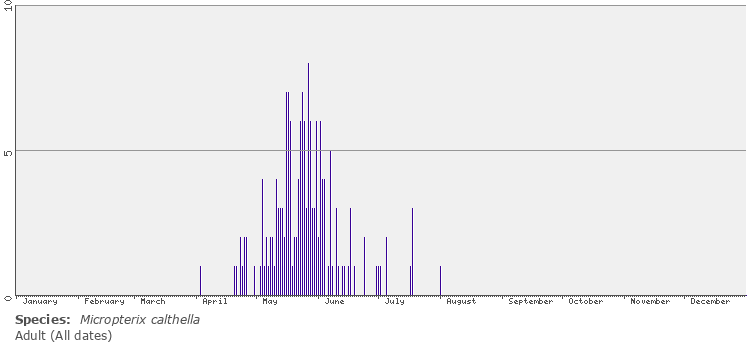 phenology