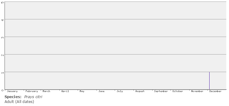 phenology