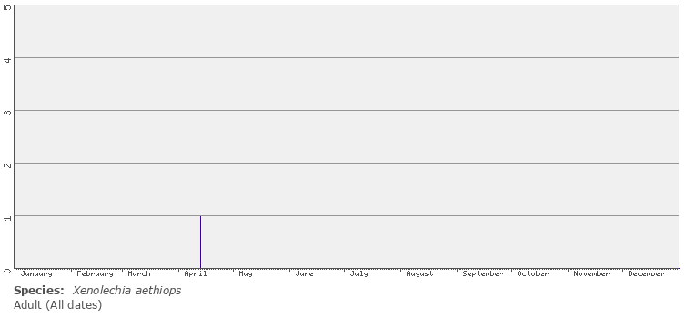 phenology