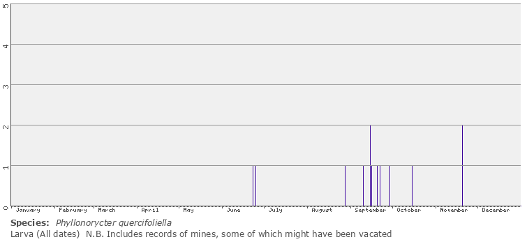 larval phenology