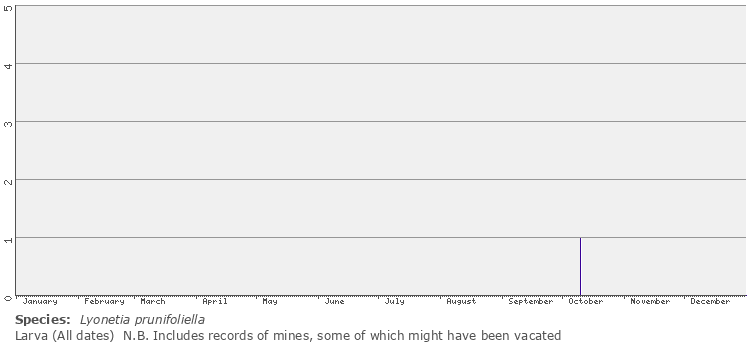 larval phenology