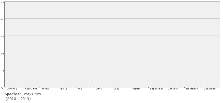 phenology