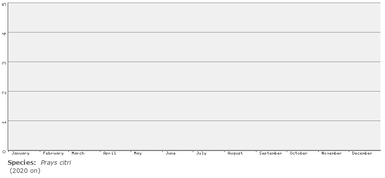 phenology