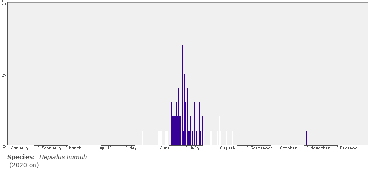 phenology