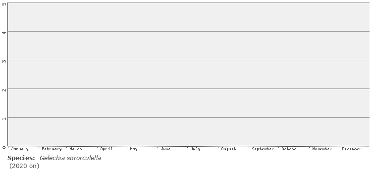 phenology