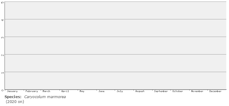 phenology