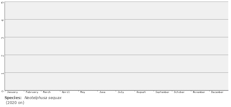 phenology
