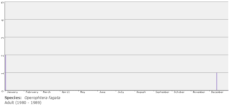 phenology