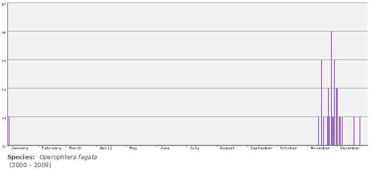 phenology