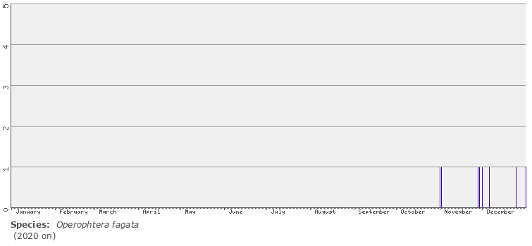 phenology