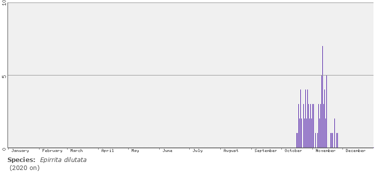 phenology