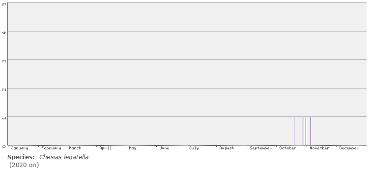 phenology